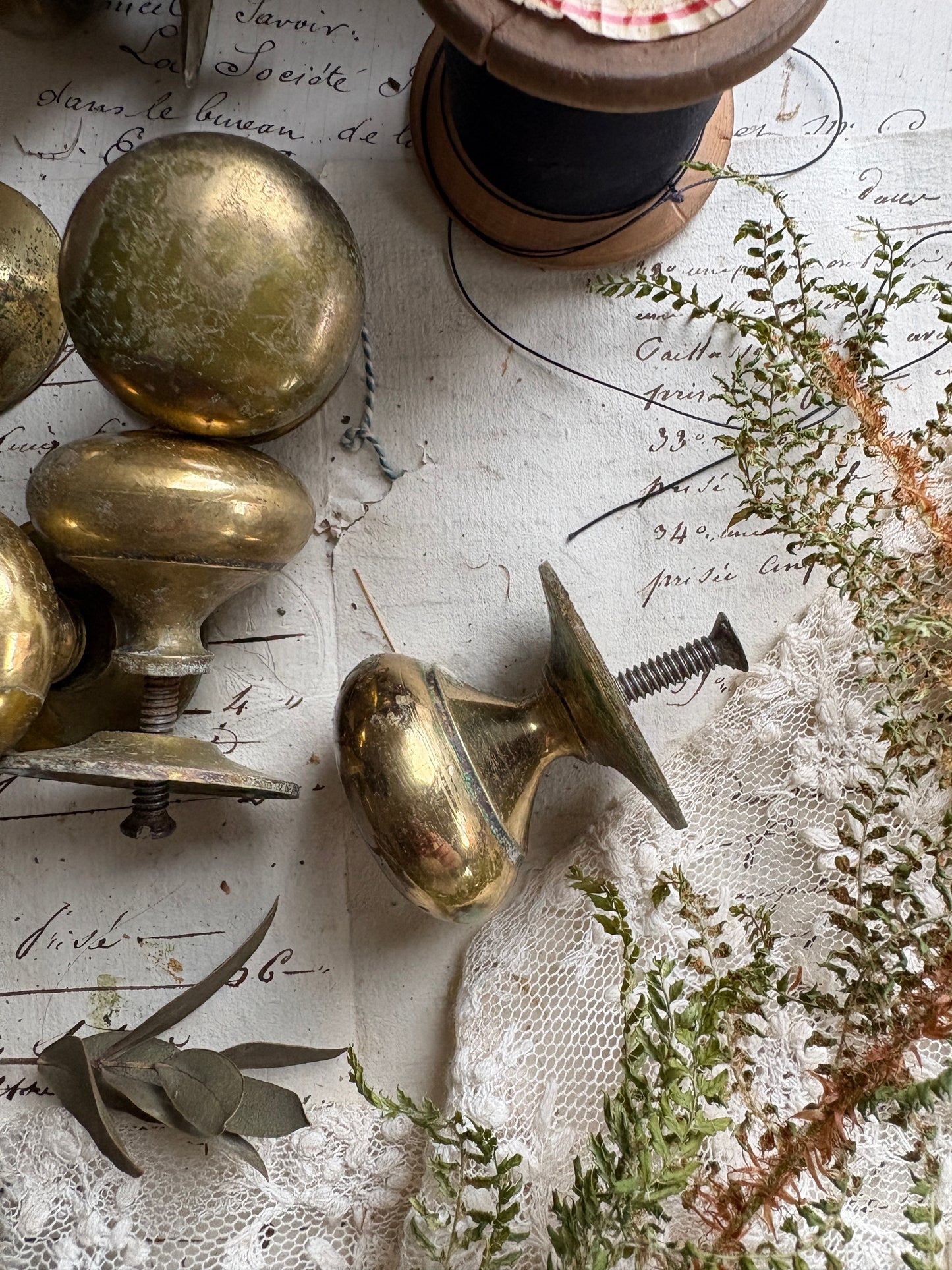 Vintage Brass Drawer Knobs with Round Back Plates