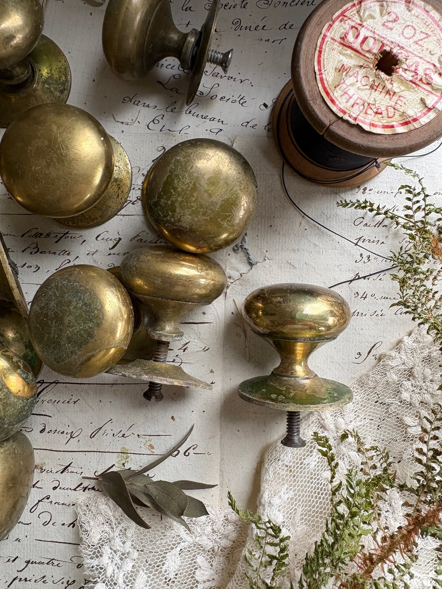 Vintage Brass Drawer Knobs with Round Back Plates