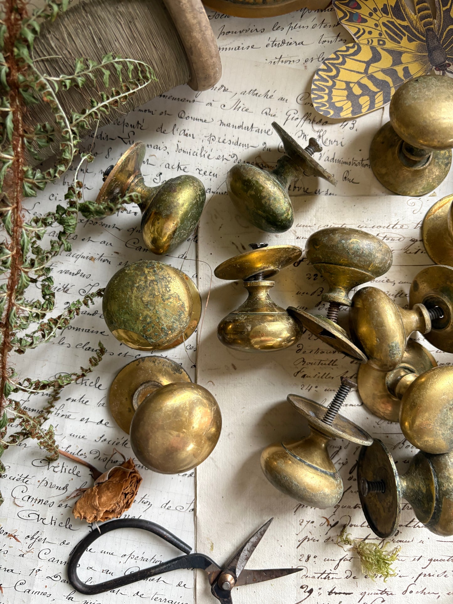 Vintage Brass Drawer Knobs with Round Back Plates