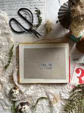 Load image into Gallery viewer, Vintage Boxed Set of Cocktail Forks – Red, White &amp; Green
