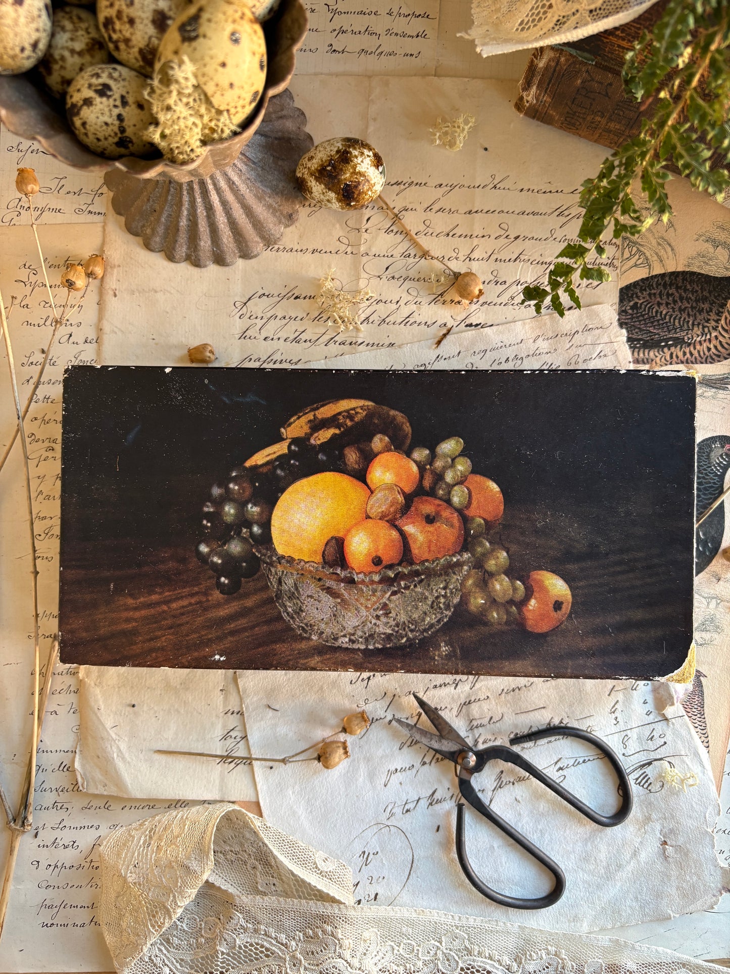 Boxed Set of Vintage Shell-Shaped Sugar Spoons