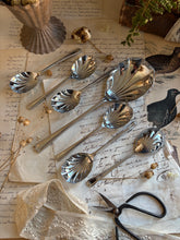 Load image into Gallery viewer, Boxed Set of Vintage Shell-Shaped Sugar Spoons
