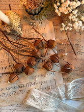Load image into Gallery viewer, Small Cow Bells Rustic Stars and Rustic Acorns
