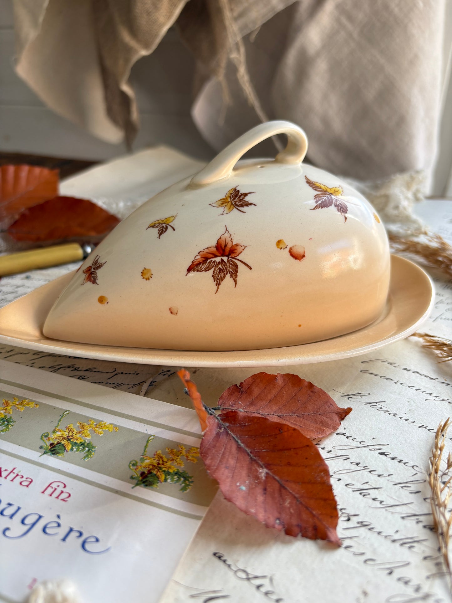 Royal Winton Grimwades Butter Dish