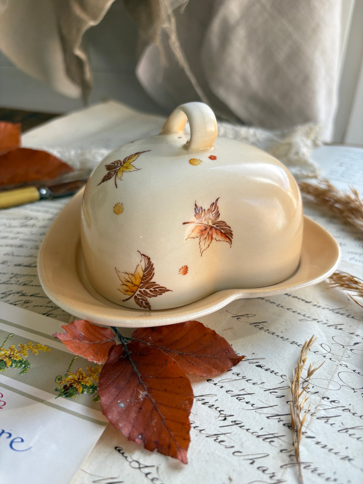 Royal Winton Grimwades Butter Dish