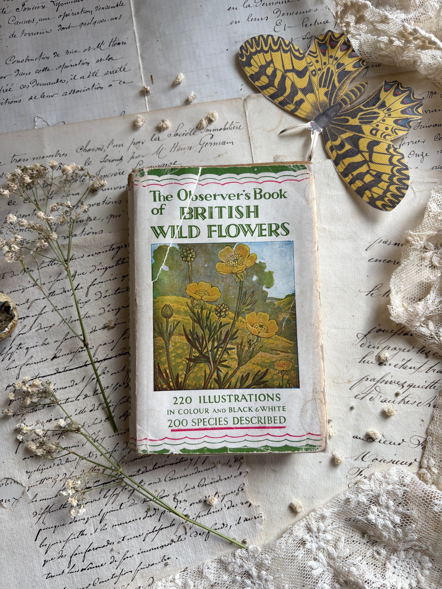 Selection Of Observer Pocket Books