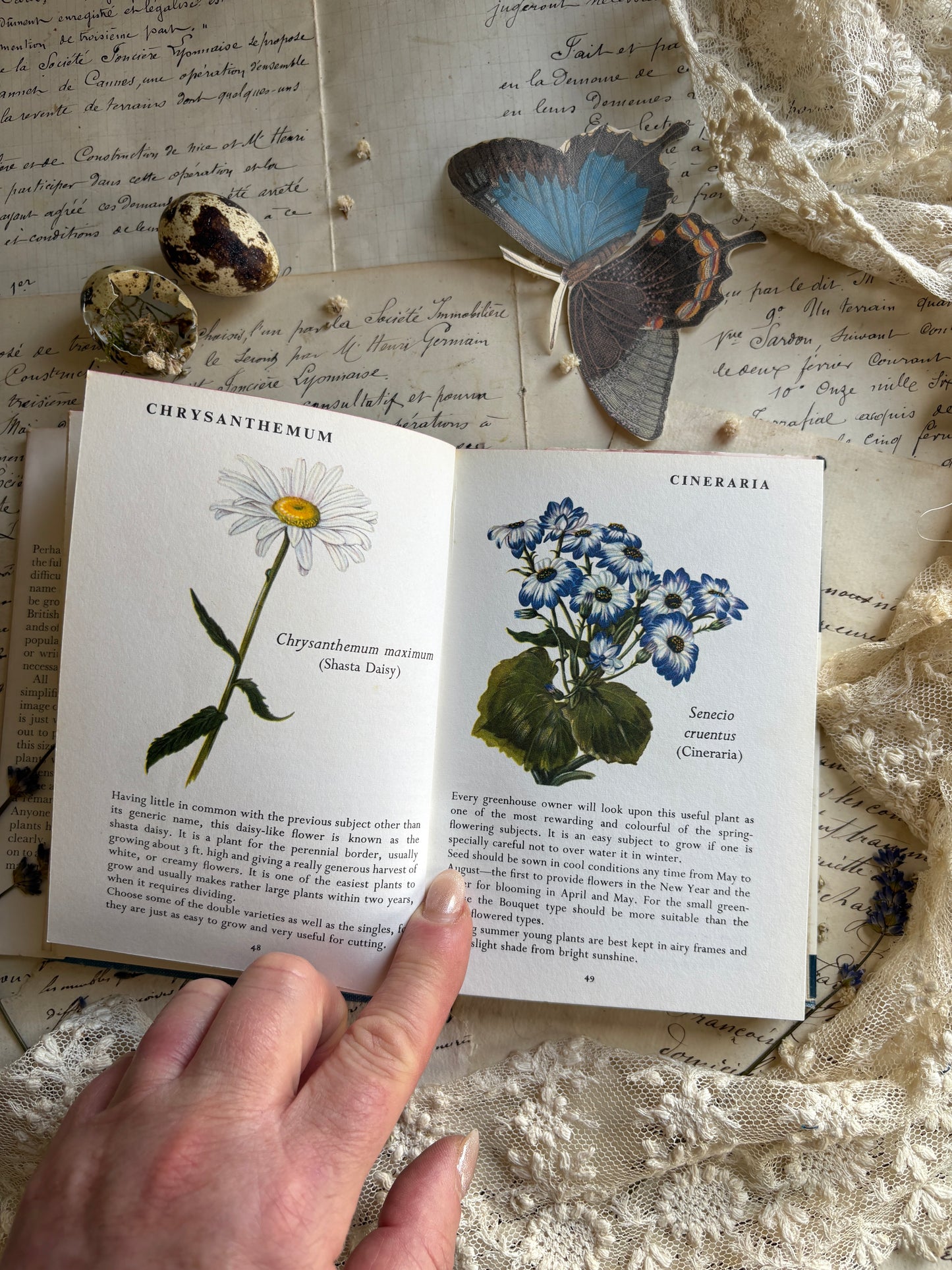 Pocket Book of Garden Flowers