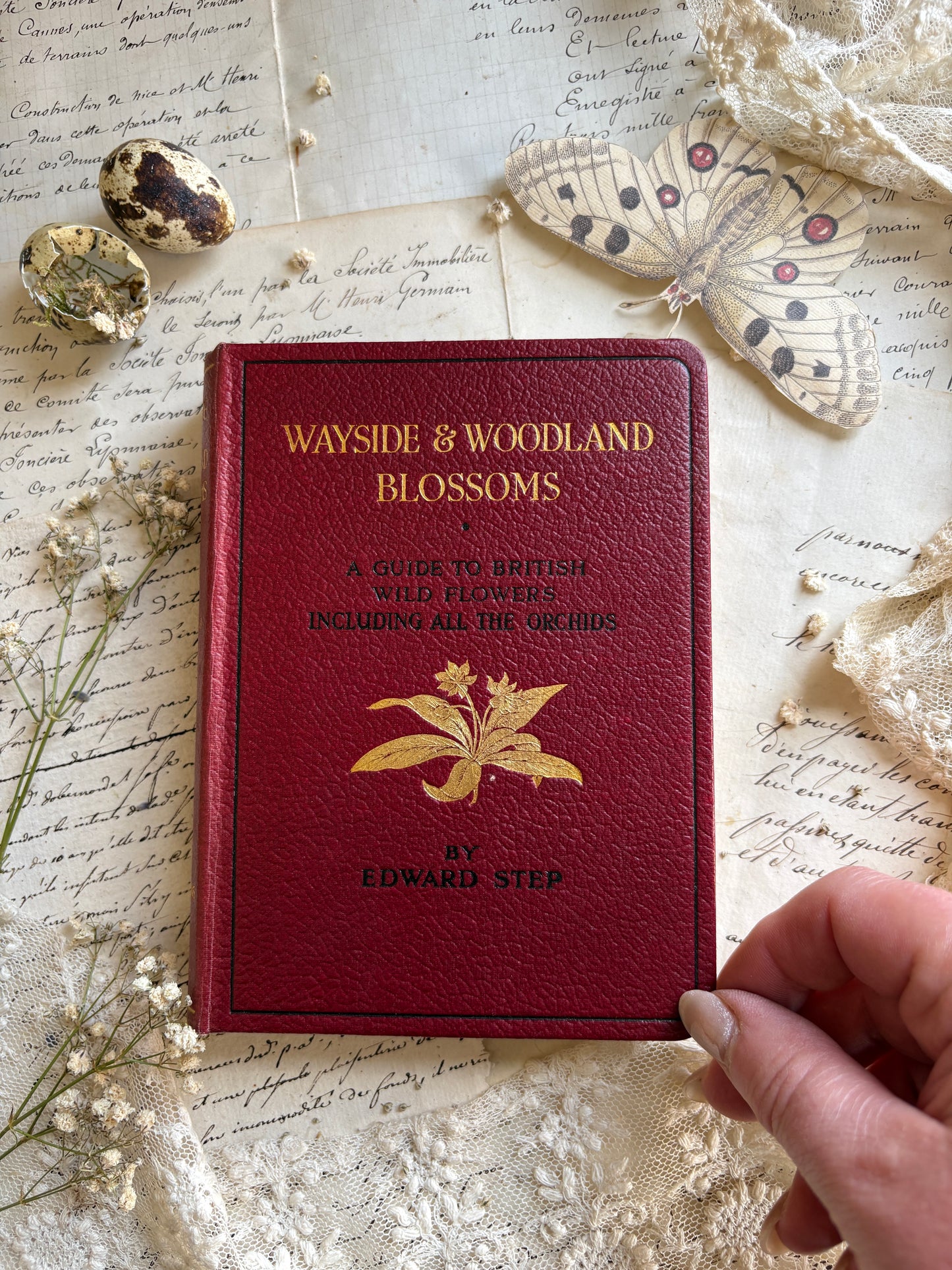 Wayside & Woodland Blossoms by Edward Step