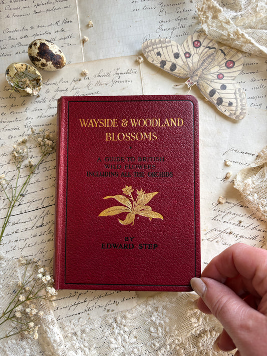 Wayside & Woodland Blossoms by Edward Step
