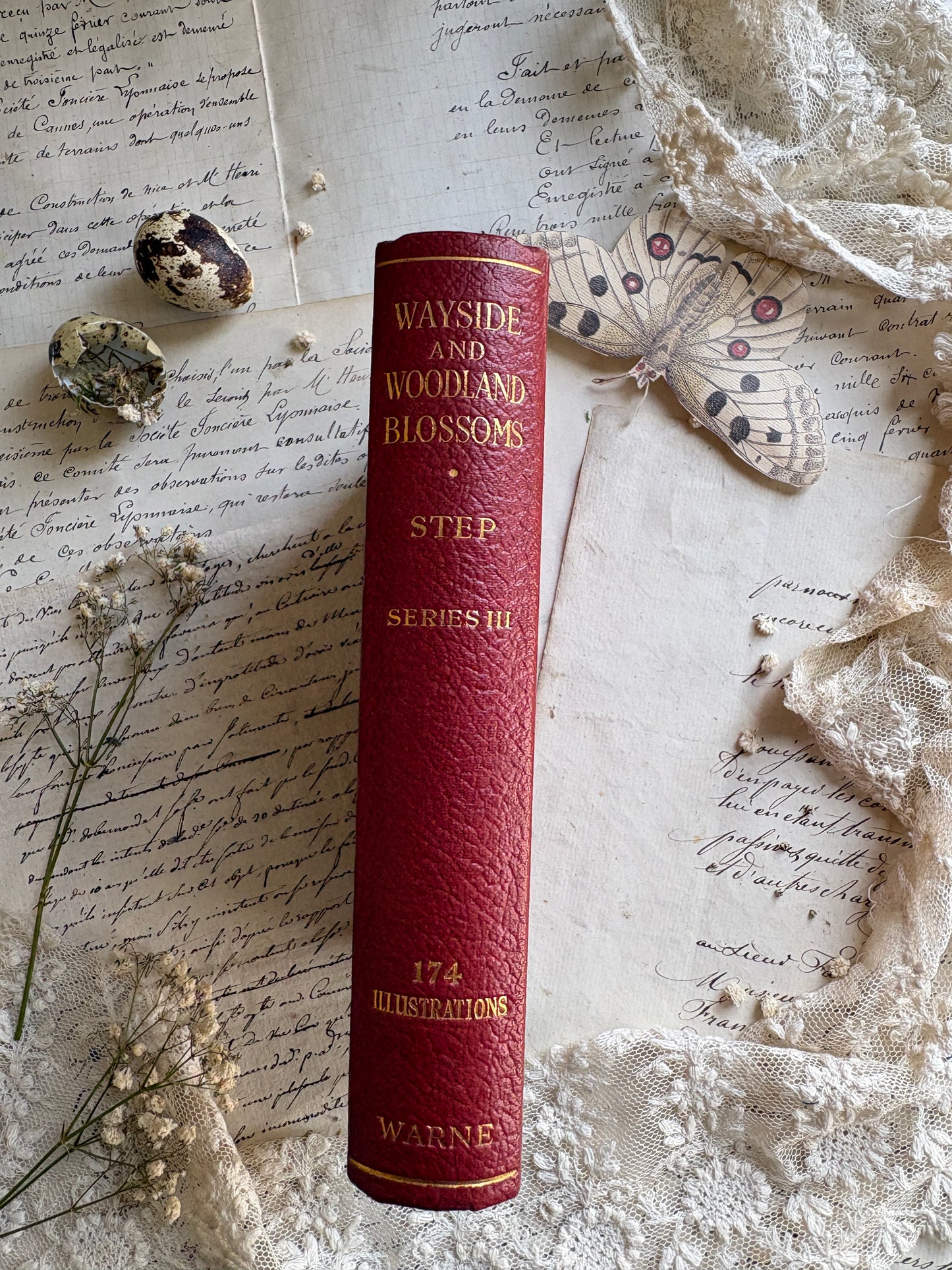 Wayside & Woodland Blossoms by Edward Step