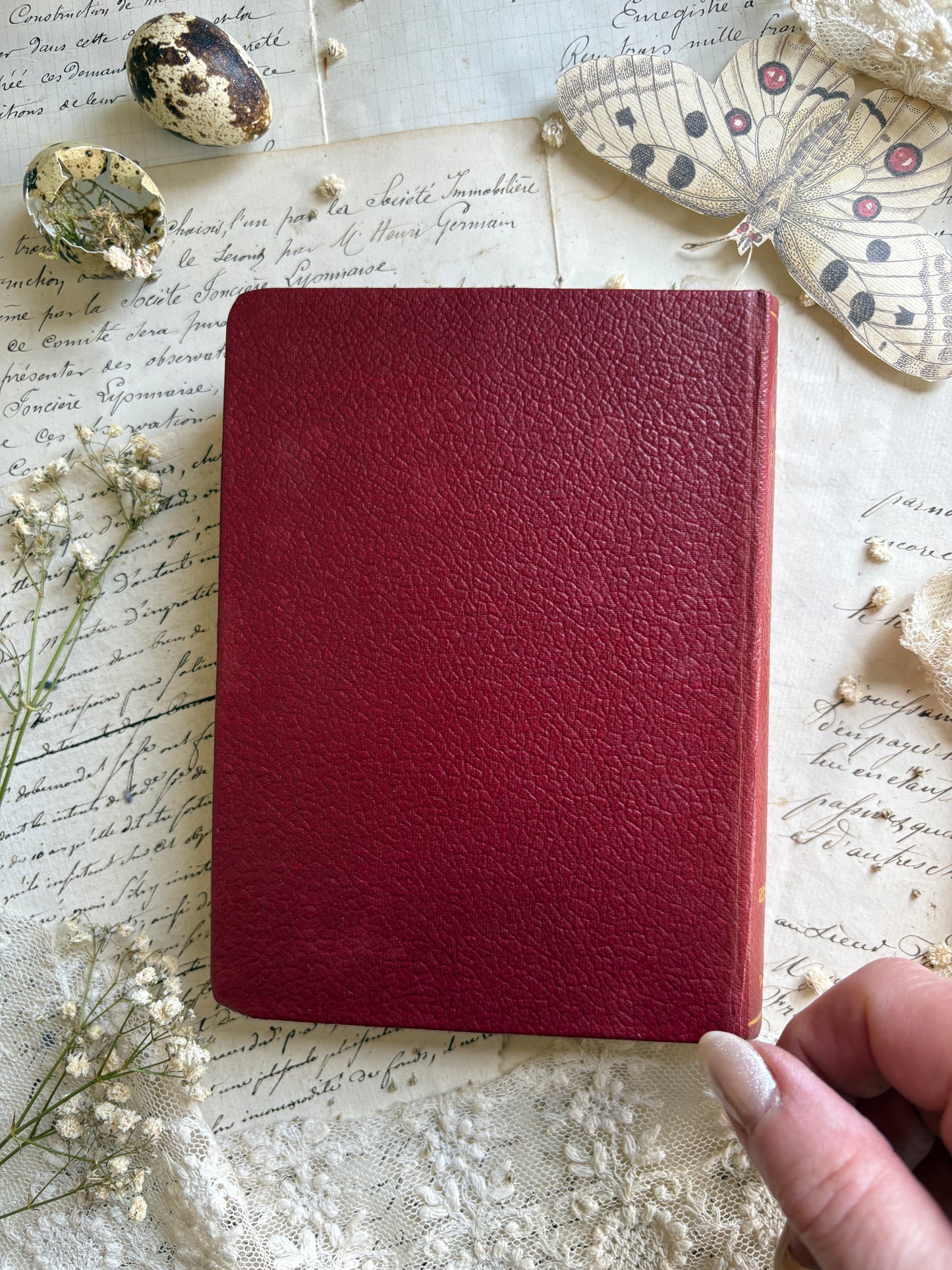 Wayside & Woodland Blossoms by Edward Step