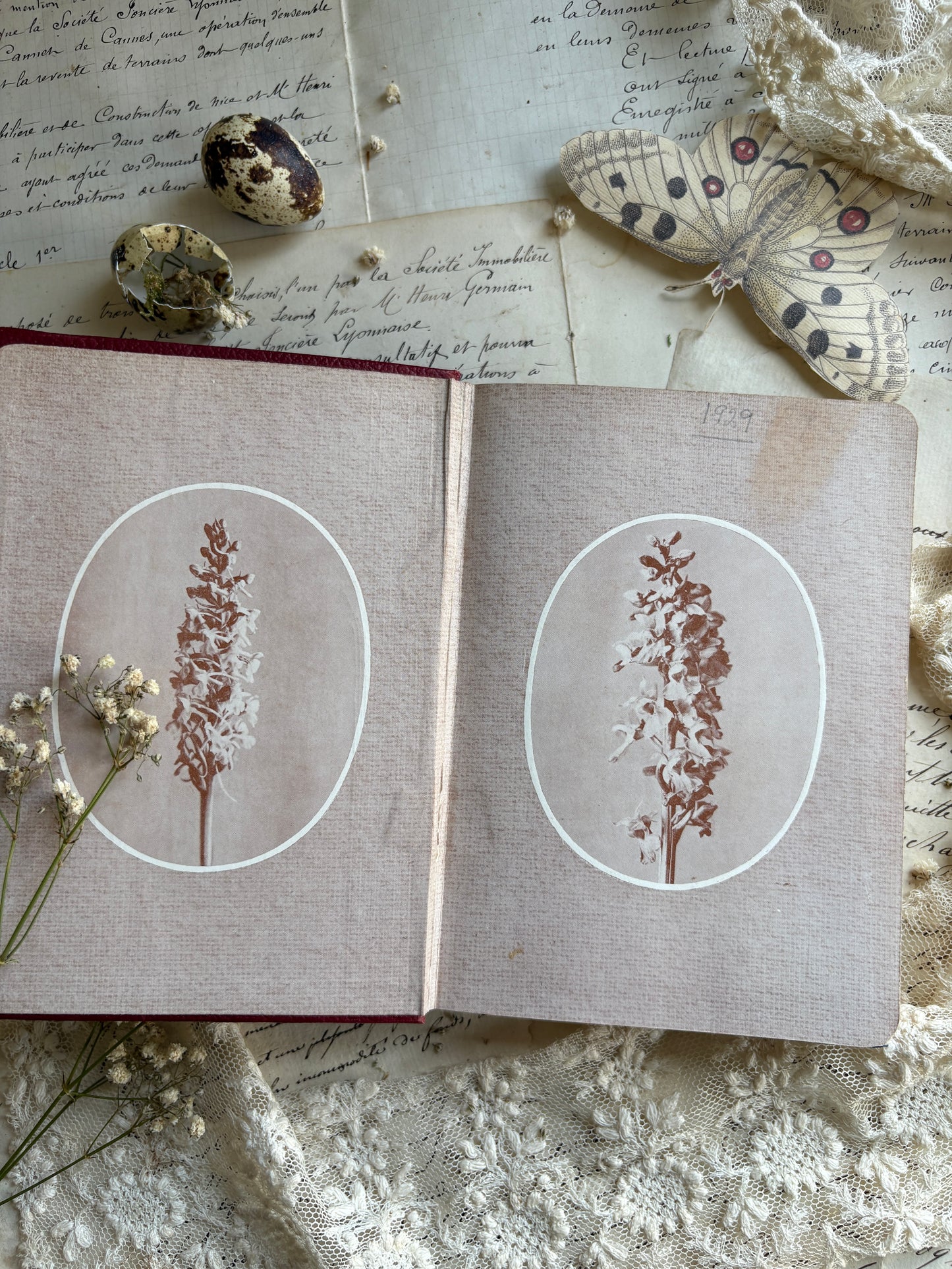 Wayside & Woodland Blossoms by Edward Step