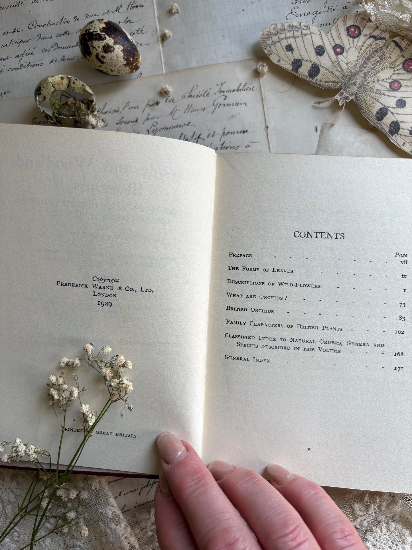 Wayside & Woodland Blossoms by Edward Step
