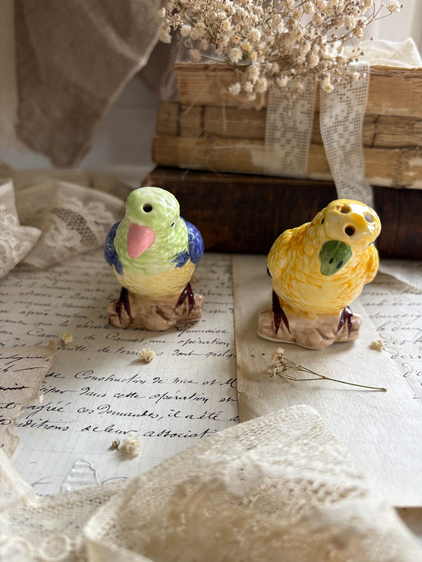 Vintage Ceramic Cockatiel Salt & Pepper Shakers
