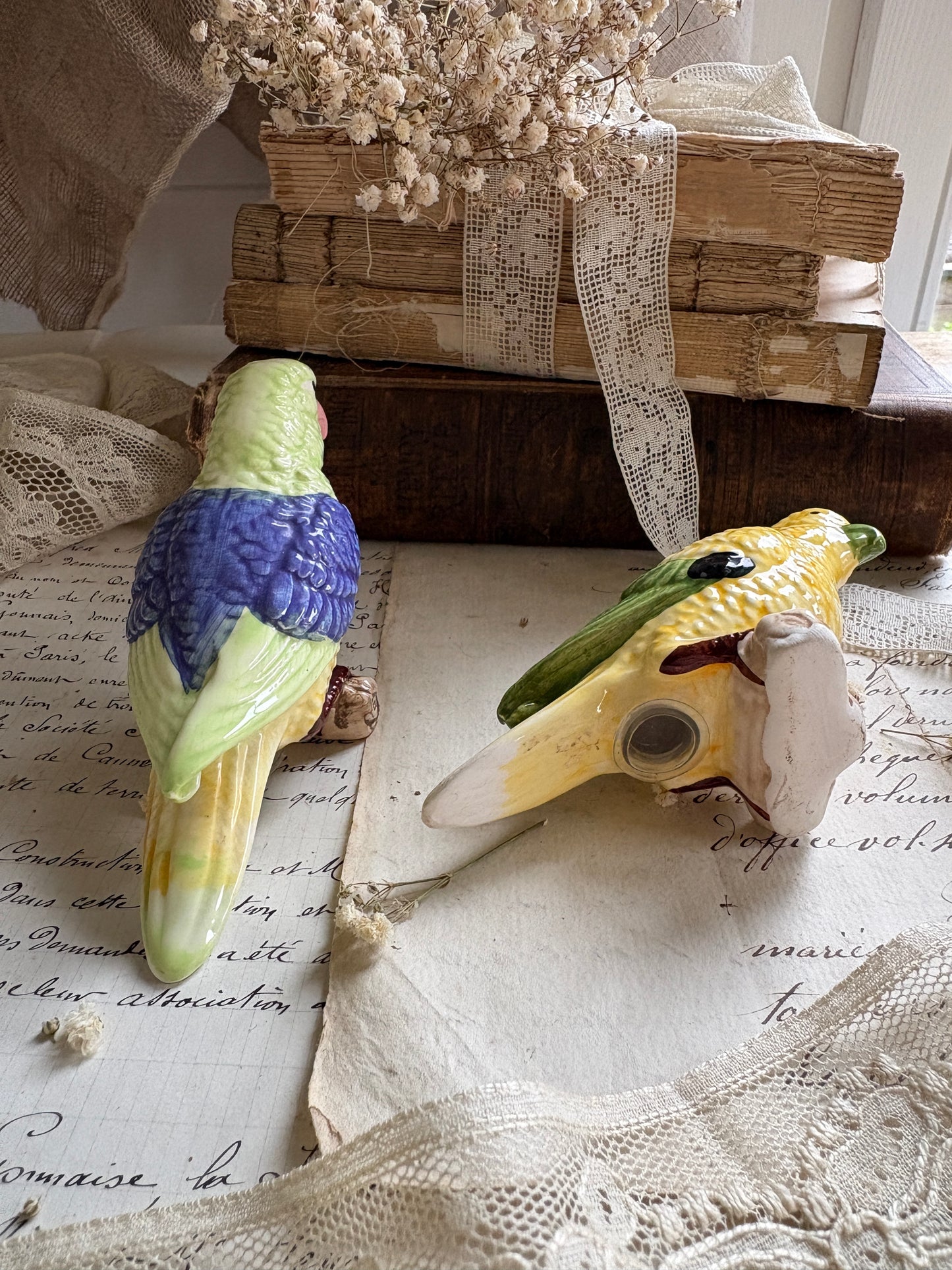 Vintage Ceramic Cockatiel Salt & Pepper Shakers