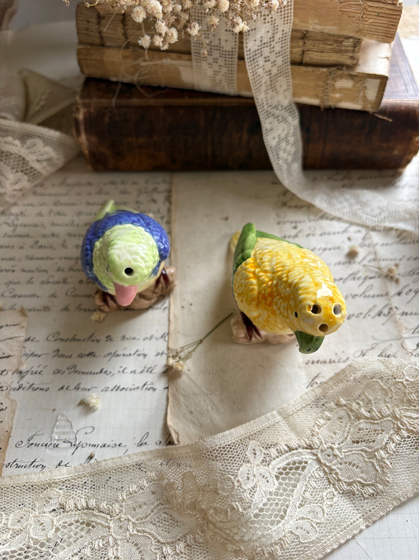 Vintage Ceramic Cockatiel Salt & Pepper Shakers