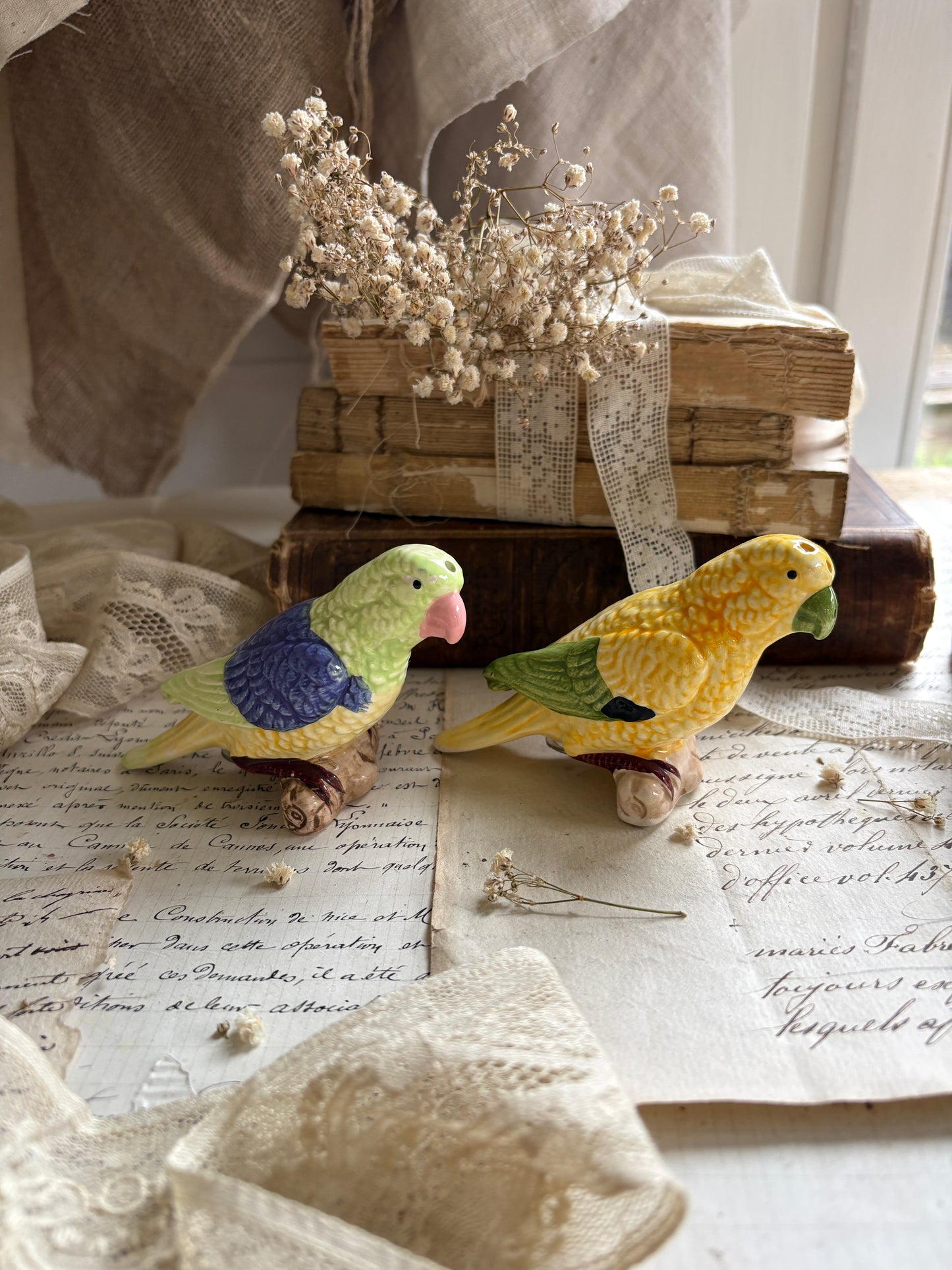 Vintage Ceramic Cockatiel Salt & Pepper Shakers
