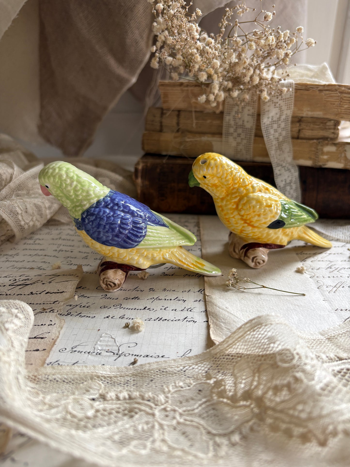 Vintage Ceramic Cockatiel Salt & Pepper Shakers