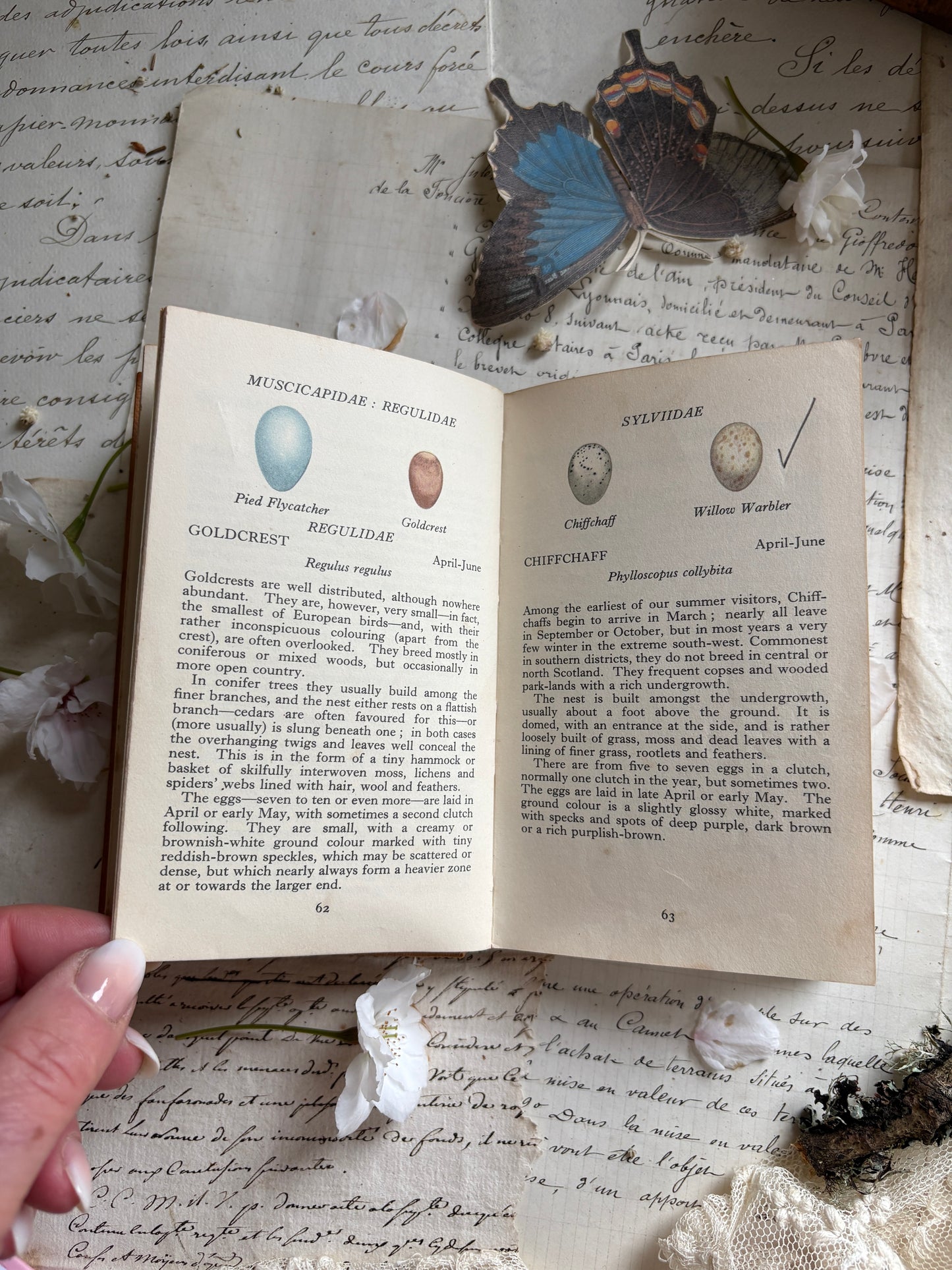 Selection Of Observer Pocket Books