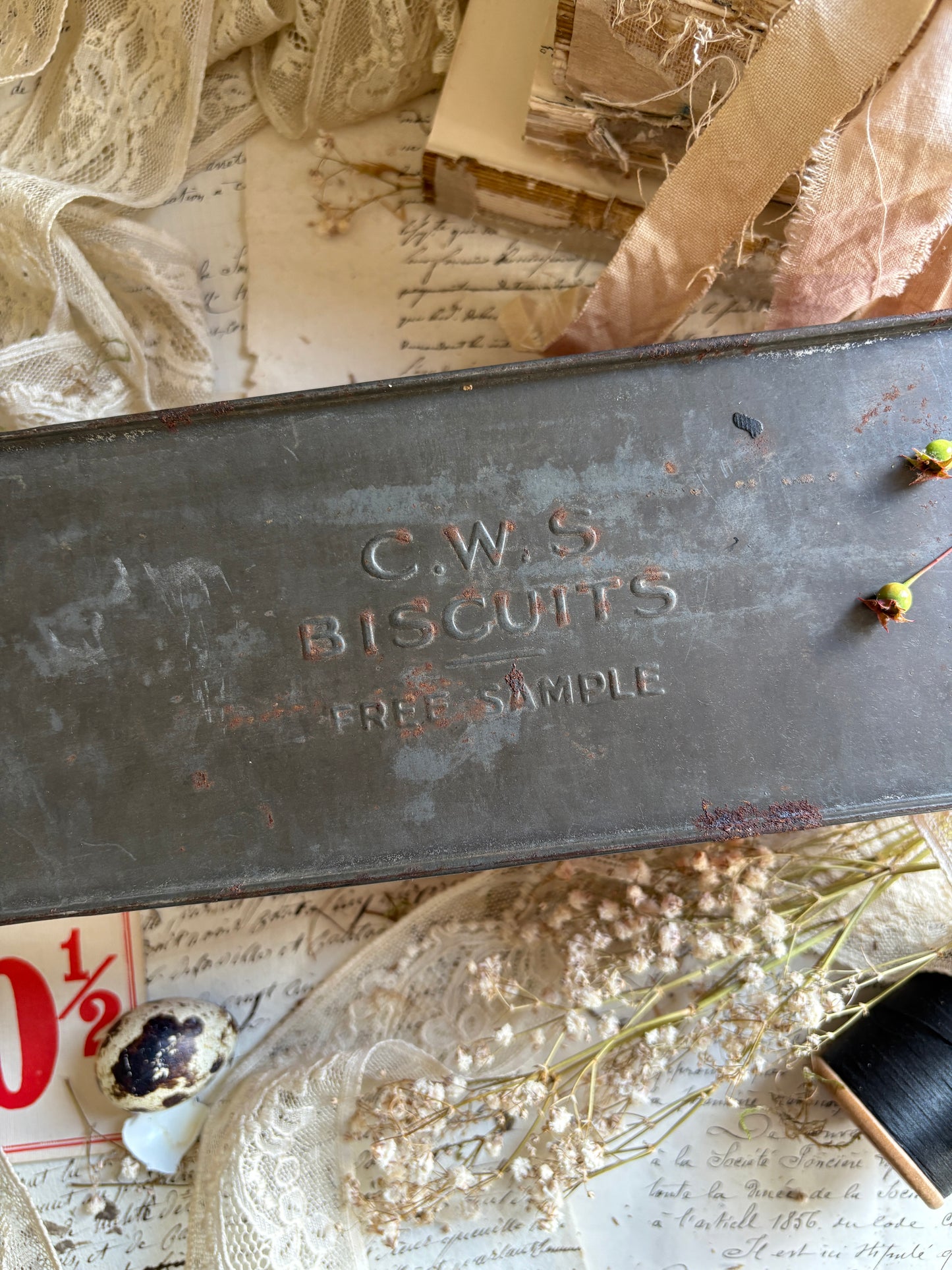 Antique C.W.S Biscuit Sample Tin