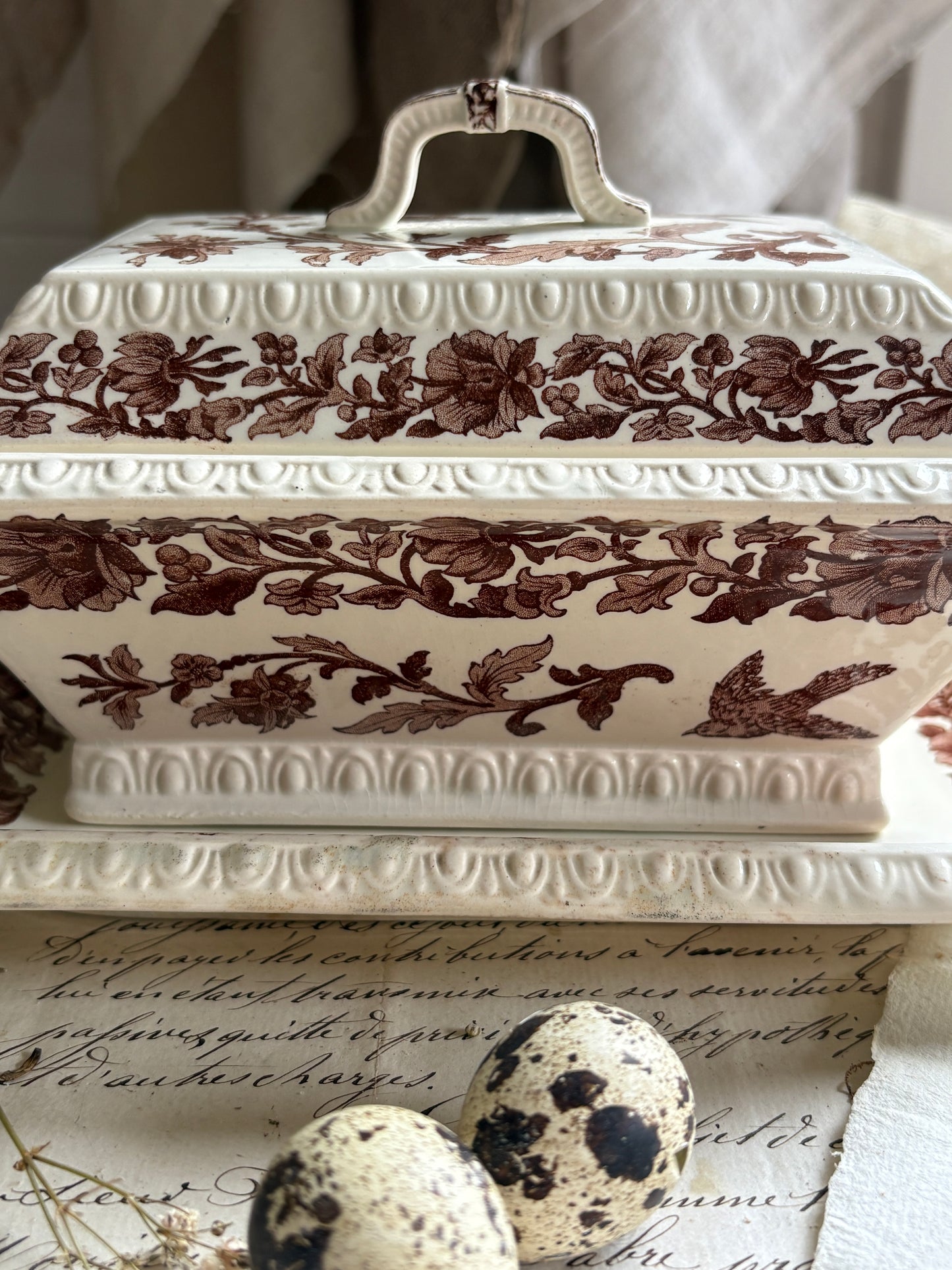 Antique T&R Boote Ironstone Tureen