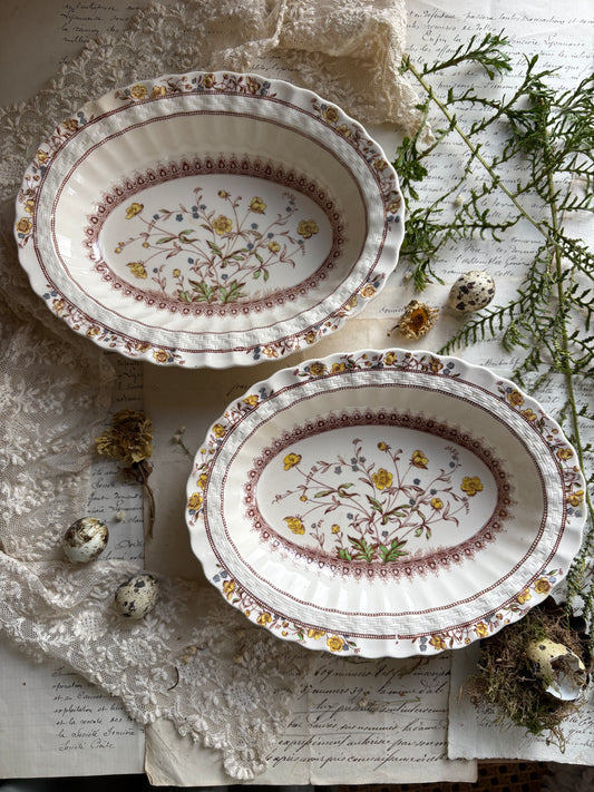 Antique Copeland Spode Buttercup Serving Dish