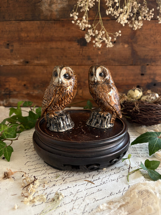 Pair of Quail Owl Salt & Pepper Pots