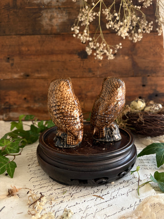 Pair of Quail Owl Salt & Pepper Pots