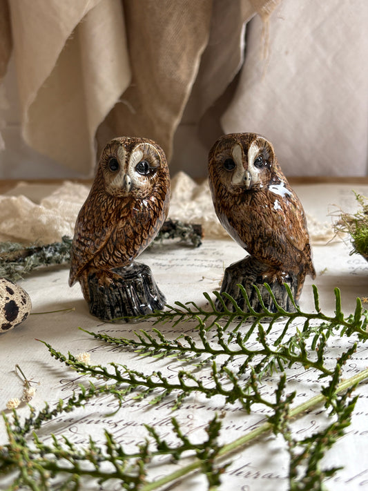 Pair of Quail Owl Salt & Pepper Pots