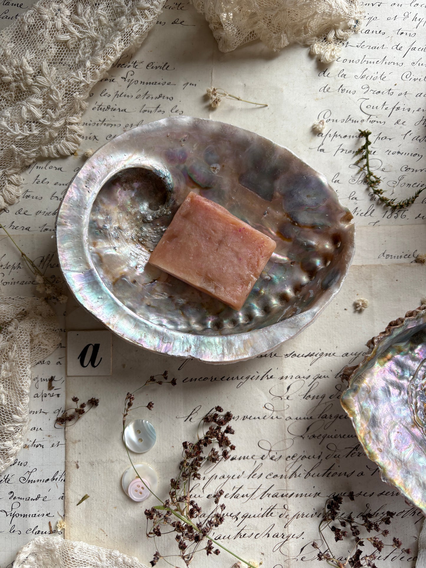 Antique Abalone Shell Dish Natural Mother of Pearl