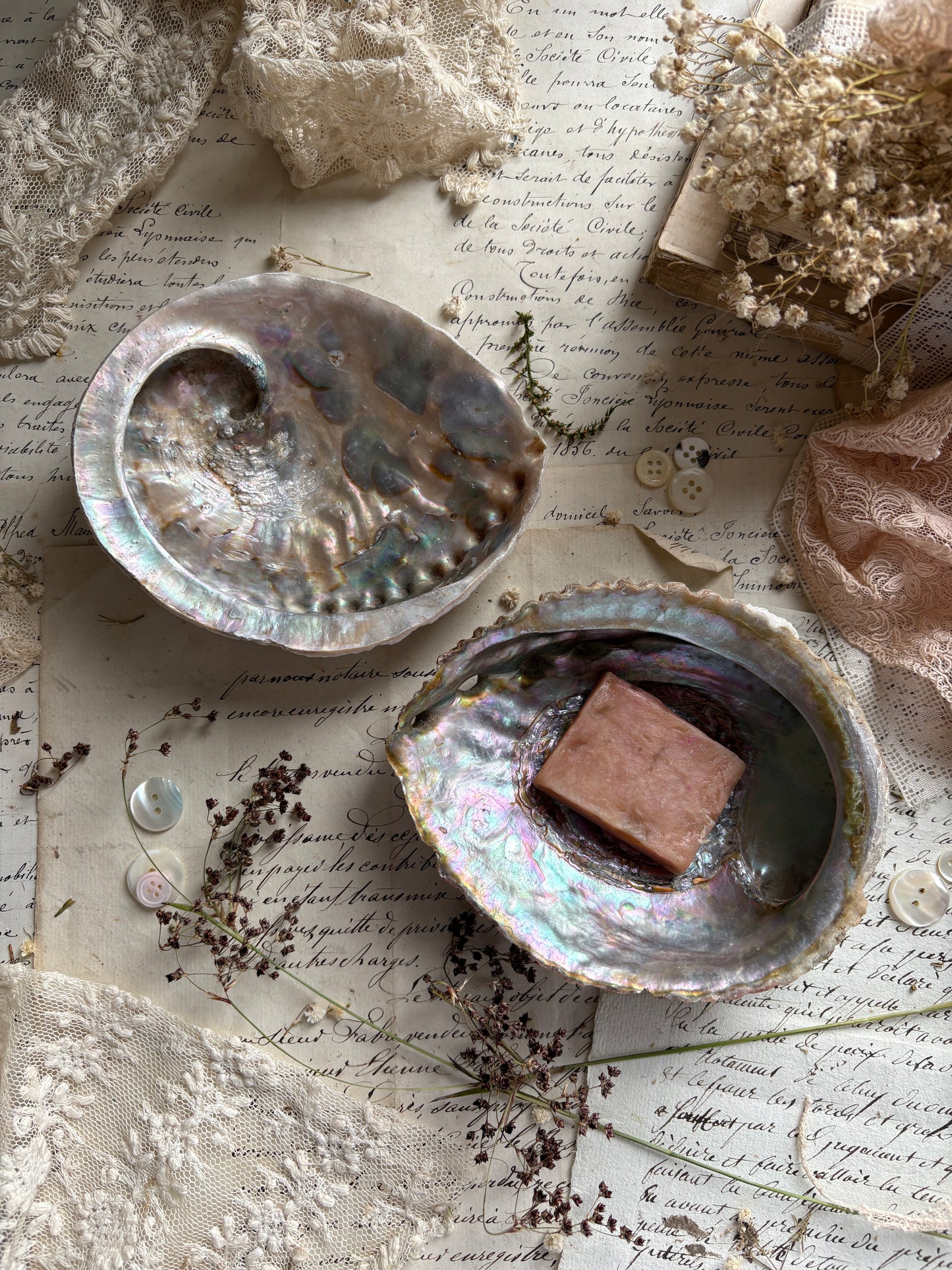 Antique Abalone Shell Dish Natural Mother of Pearl