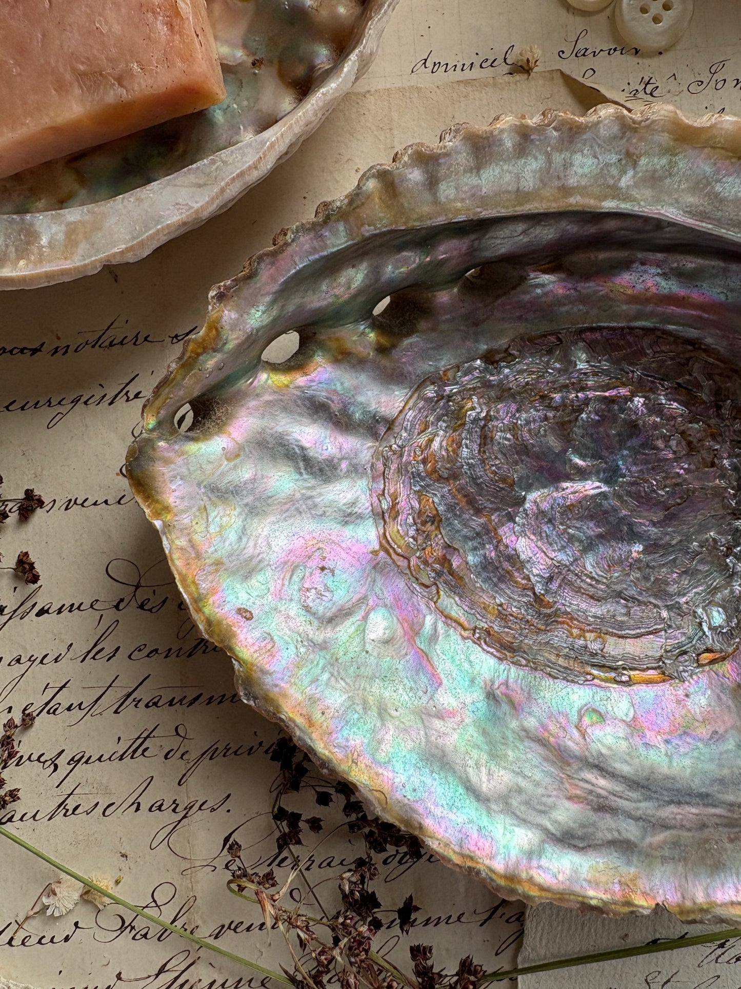 Antique Abalone Shell Dish Natural Mother of Pearl