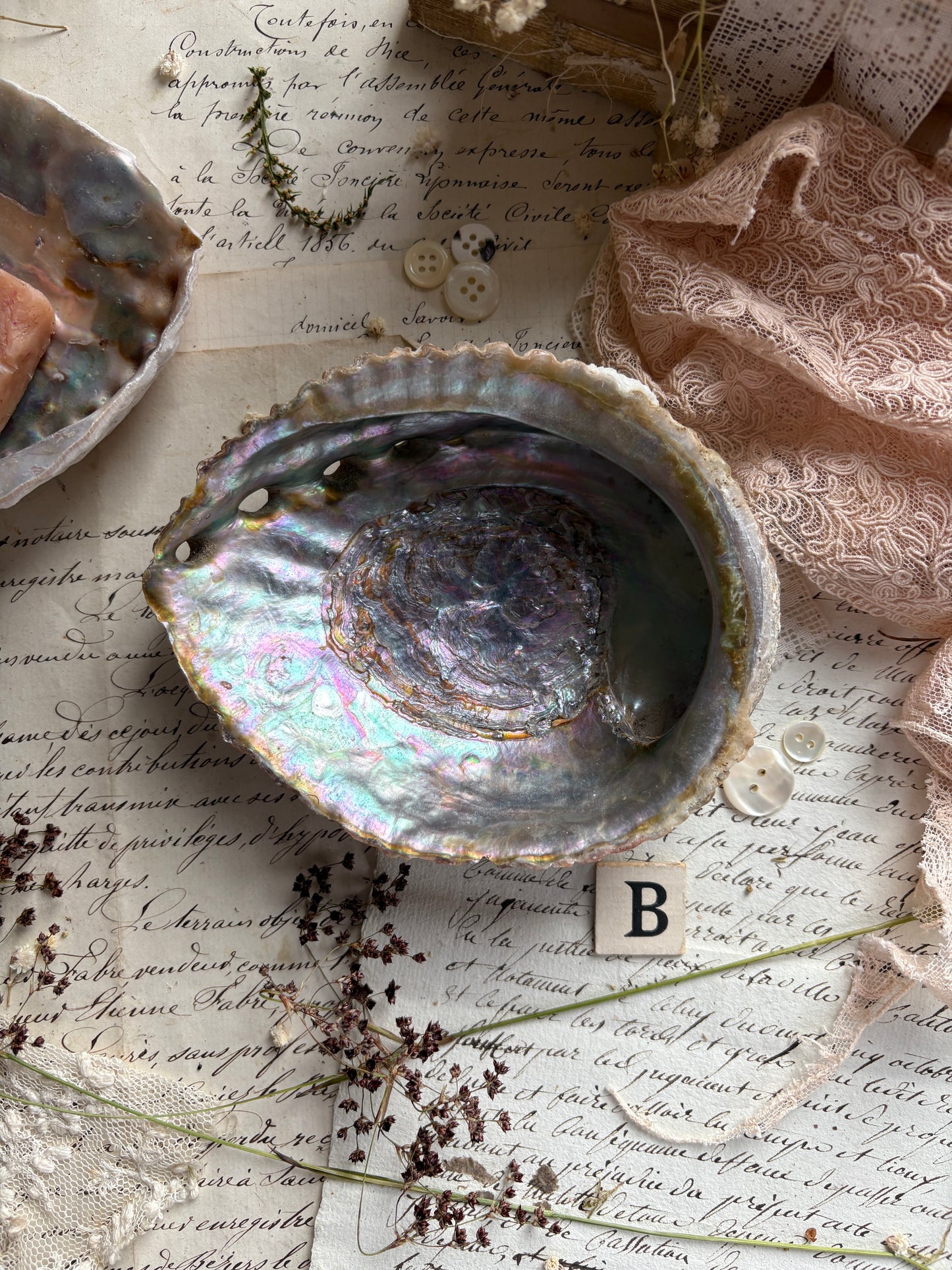 Antique Abalone Shell Dish Natural Mother of Pearl