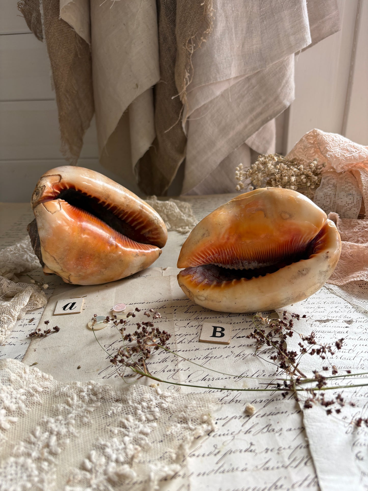 Vintage Bull’s Mouth Helmet Shell