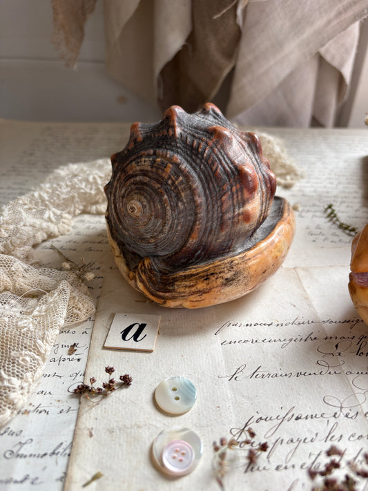 Vintage Bull’s Mouth Helmet Shell