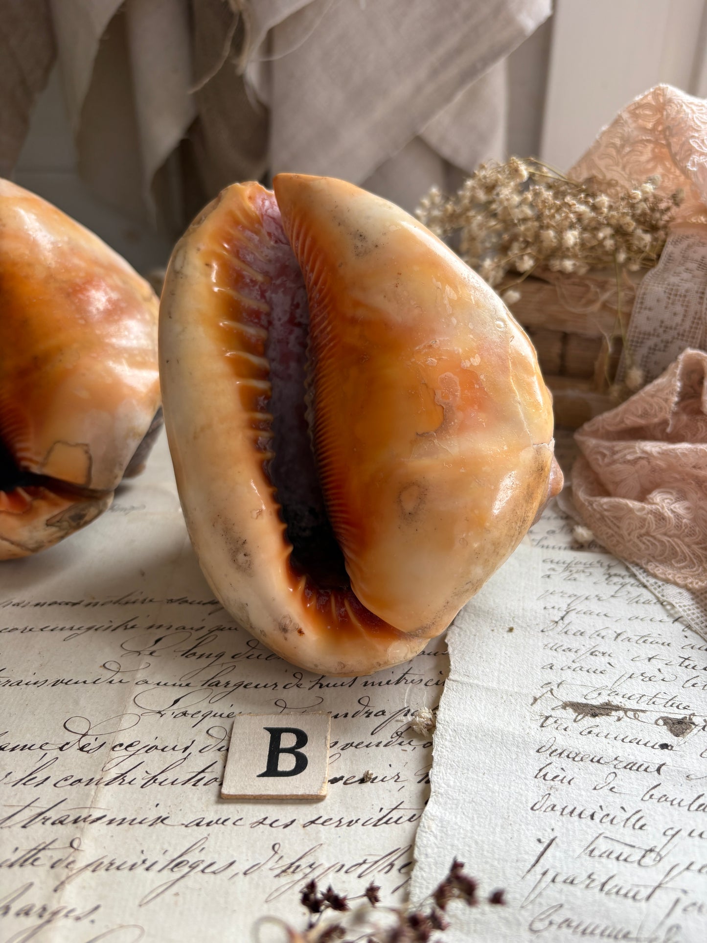 Vintage Bull’s Mouth Helmet Shell