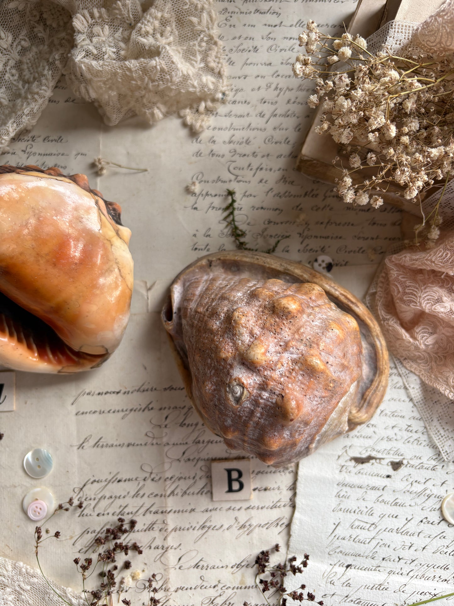 Vintage Bull’s Mouth Helmet Shell