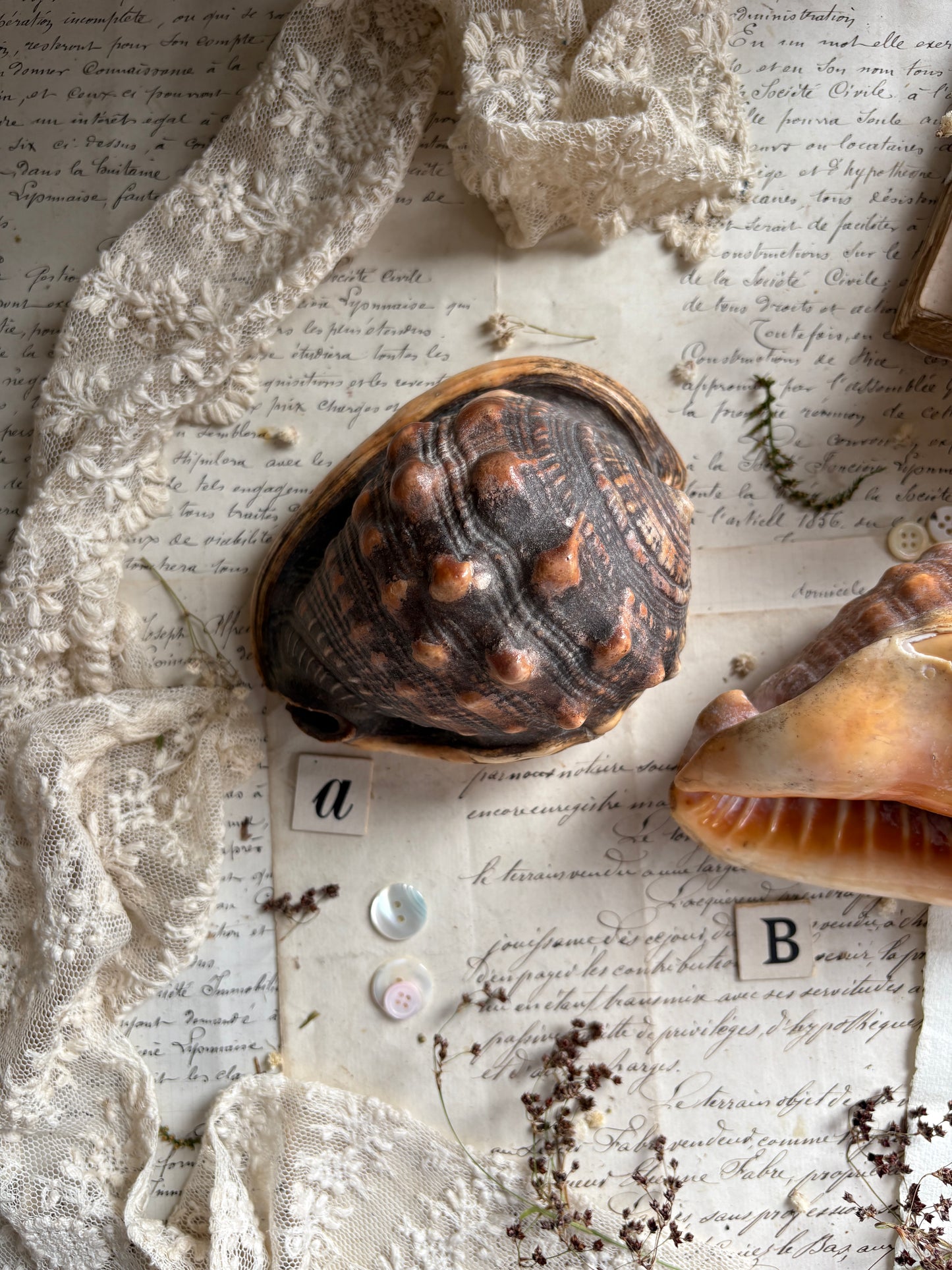 Vintage Bull’s Mouth Helmet Shell