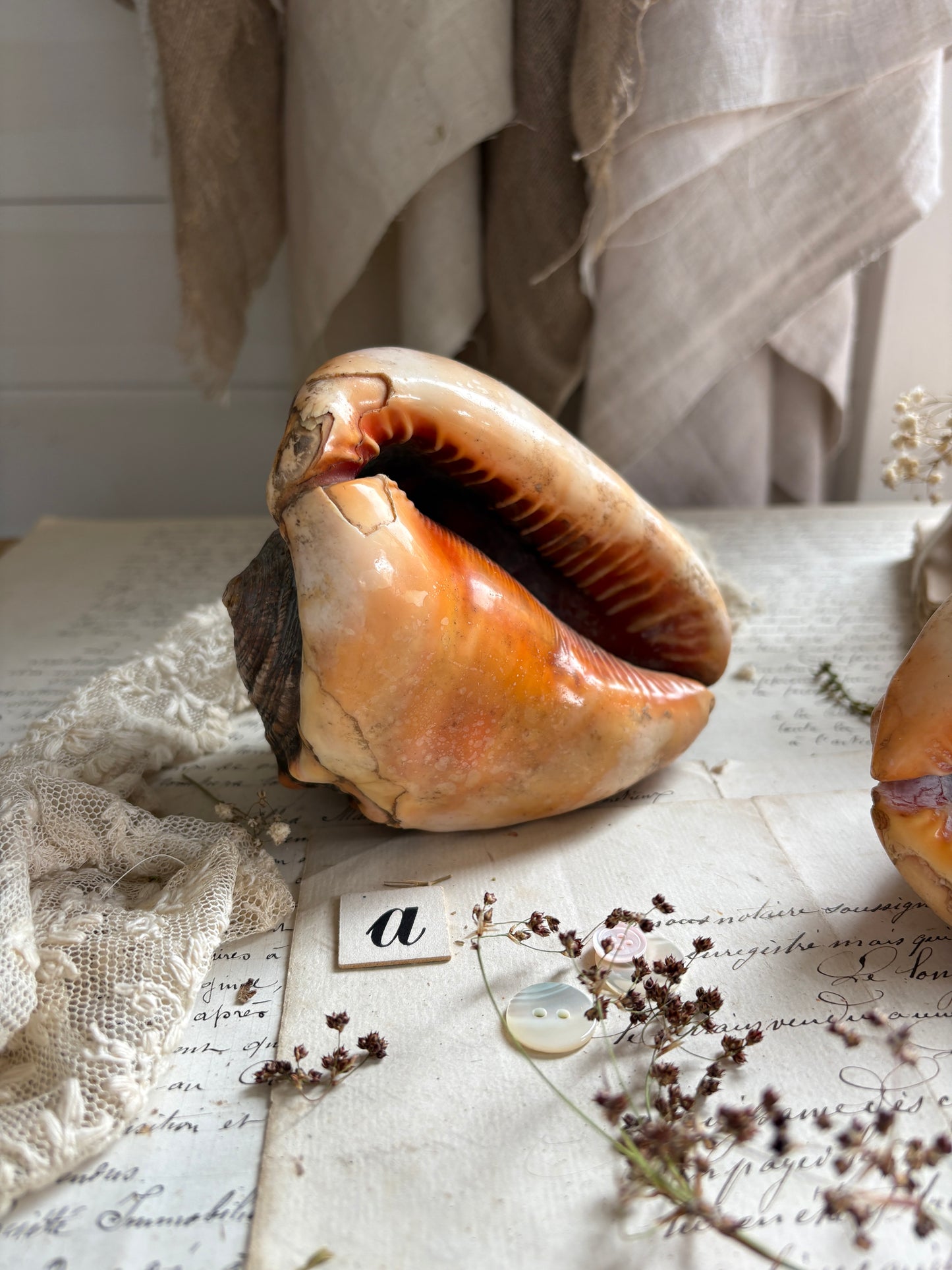 Vintage Bull’s Mouth Helmet Shell