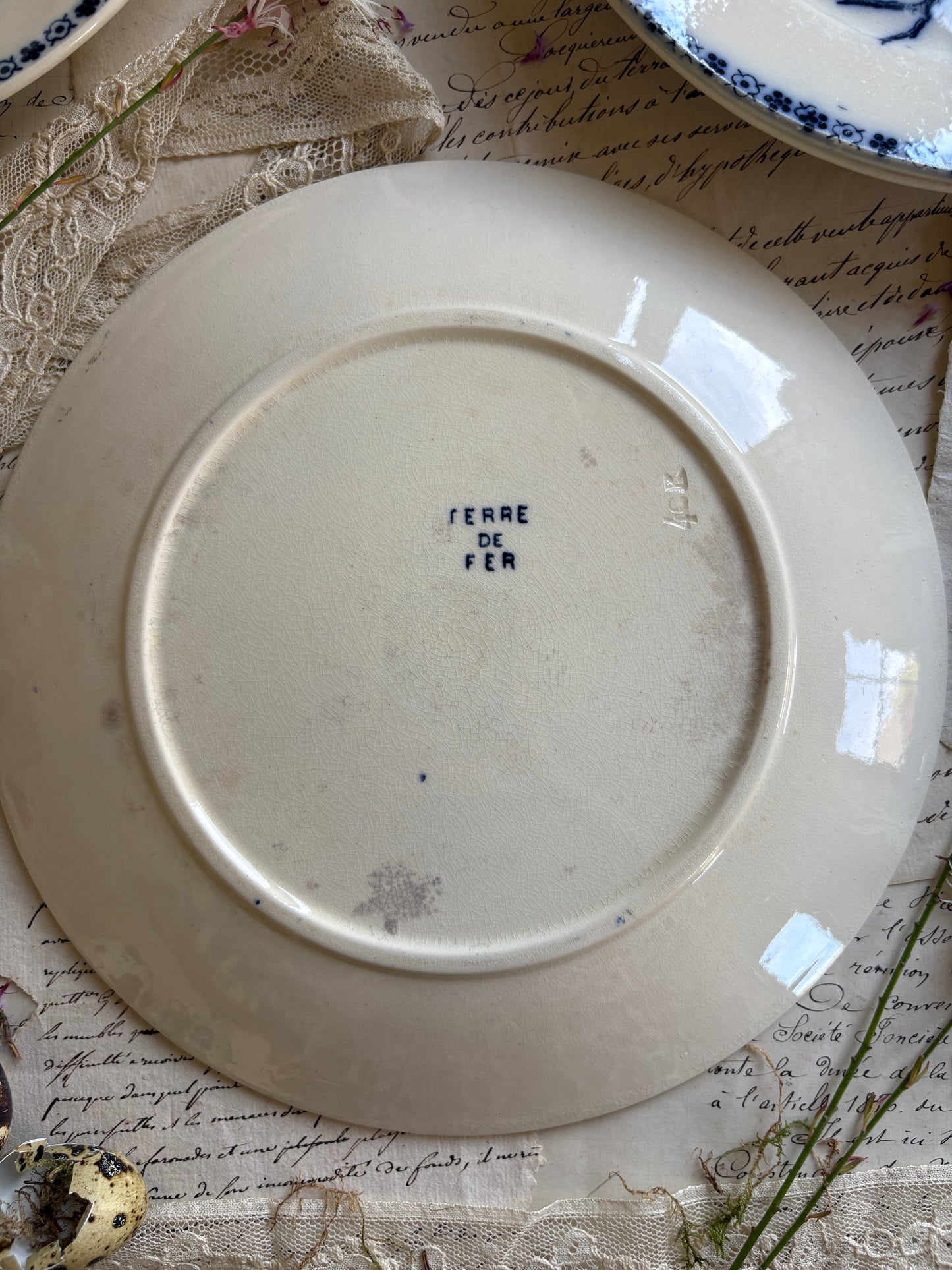 Set of Six Antique French Ironestone plates "Chanteurs" Blue Bird Decor