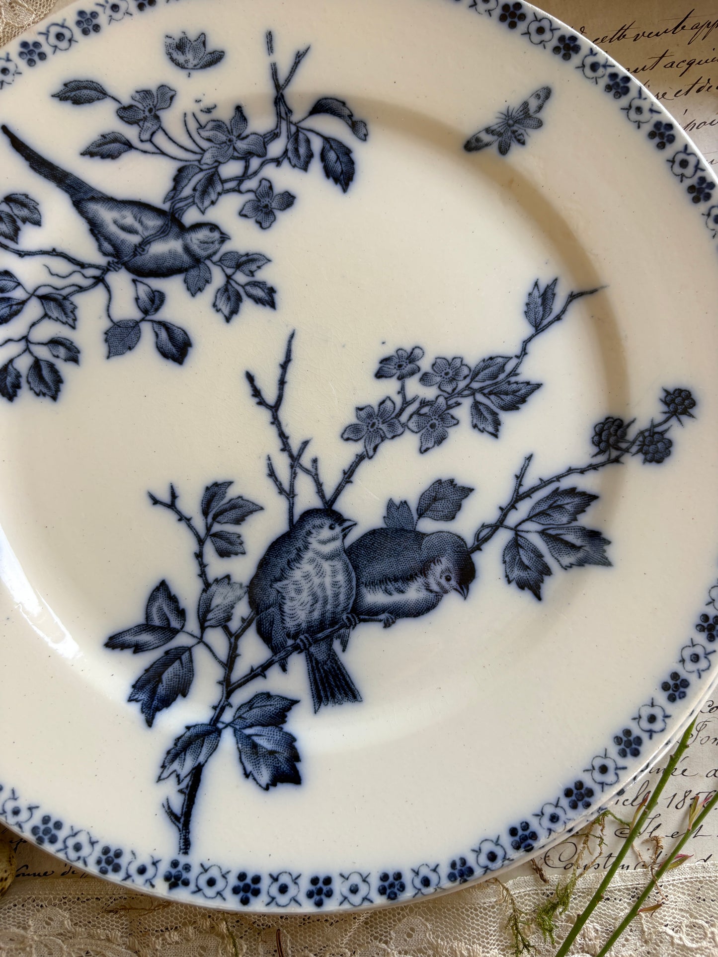 Set of Six Antique French Ironestone plates "Chanteurs" Blue Bird Decor