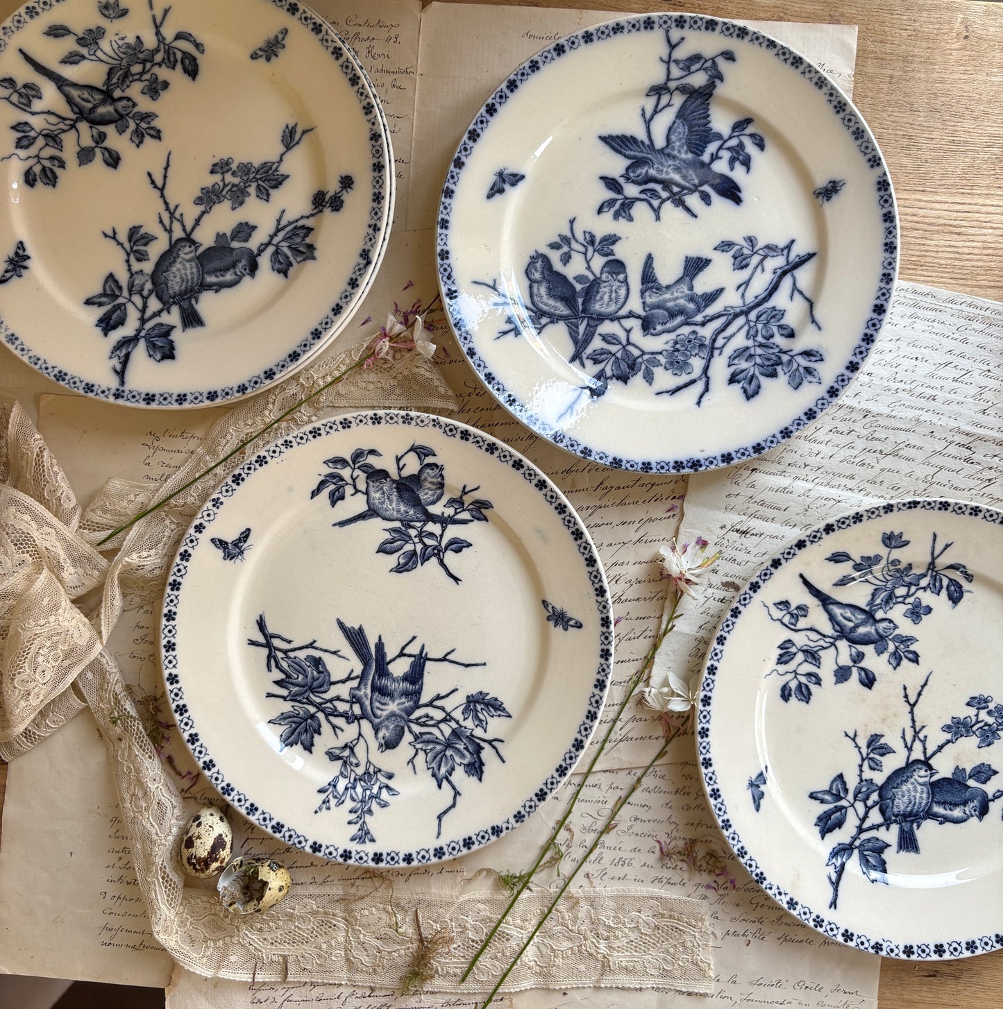 Set of Six Antique French Ironestone plates "Chanteurs" Blue Bird Decor