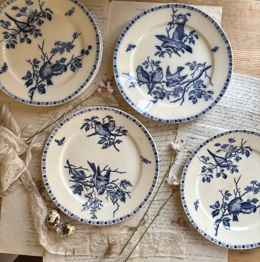Set of Six Antique French Ironestone plates "Chanteurs" Blue Bird Decor