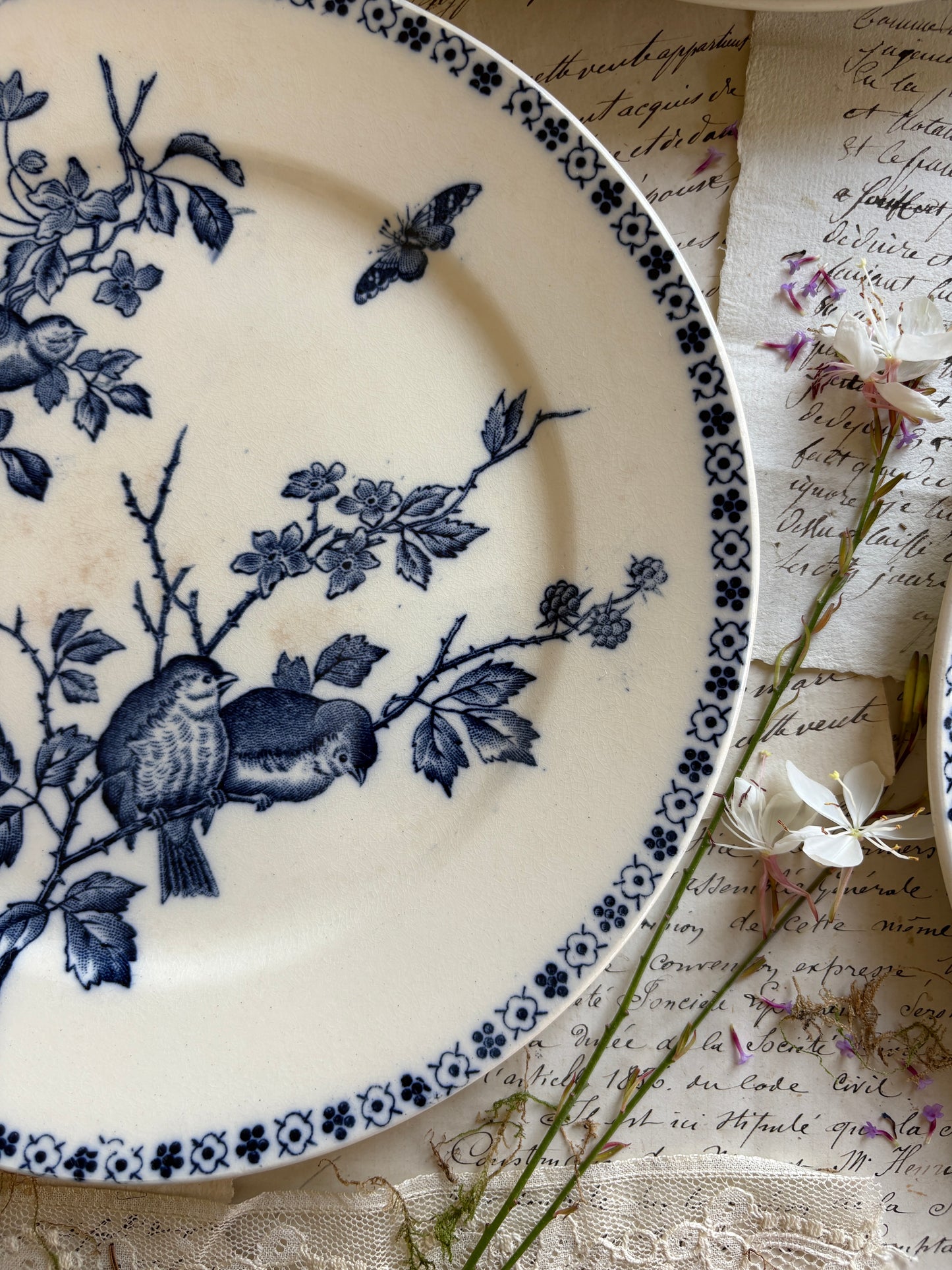 Set of Six Antique French Ironestone plates "Chanteurs" Blue Bird Decor