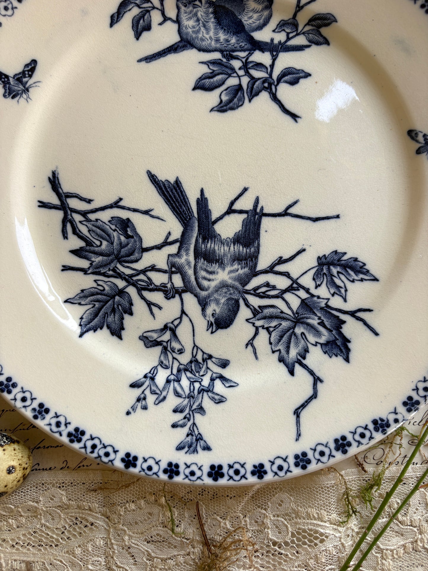Set of Six Antique French Ironestone plates "Chanteurs" Blue Bird Decor