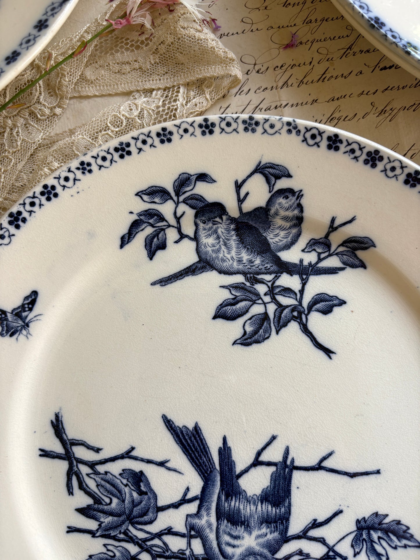 Set of Six Antique French Ironestone plates "Chanteurs" Blue Bird Decor
