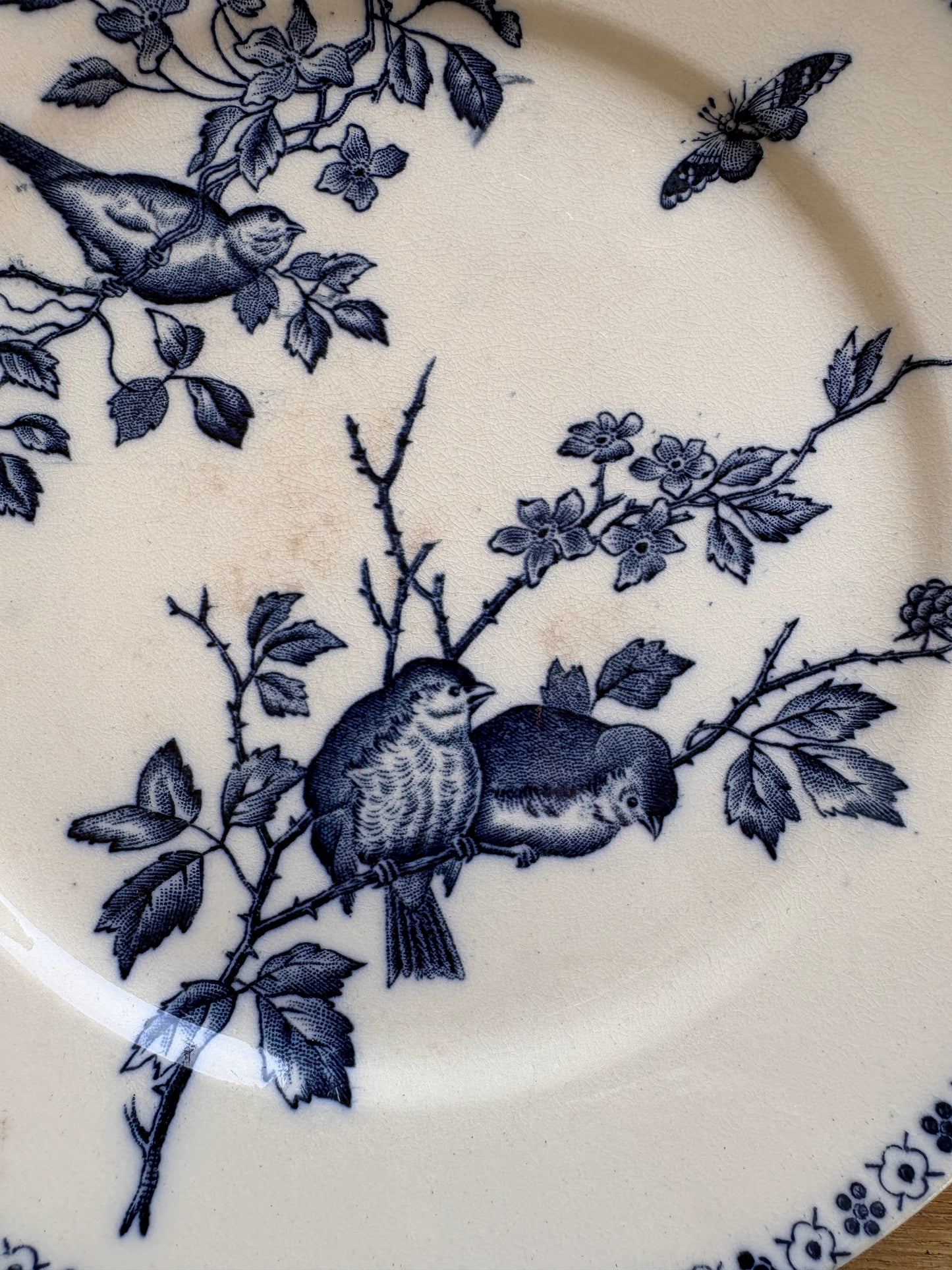 Set of Six Antique French Ironestone plates "Chanteurs" Blue Bird Decor