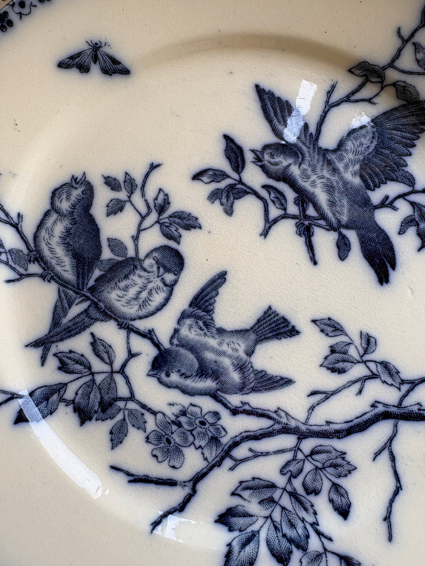 Set of Six Antique French Ironestone plates "Chanteurs" Blue Bird Decor
