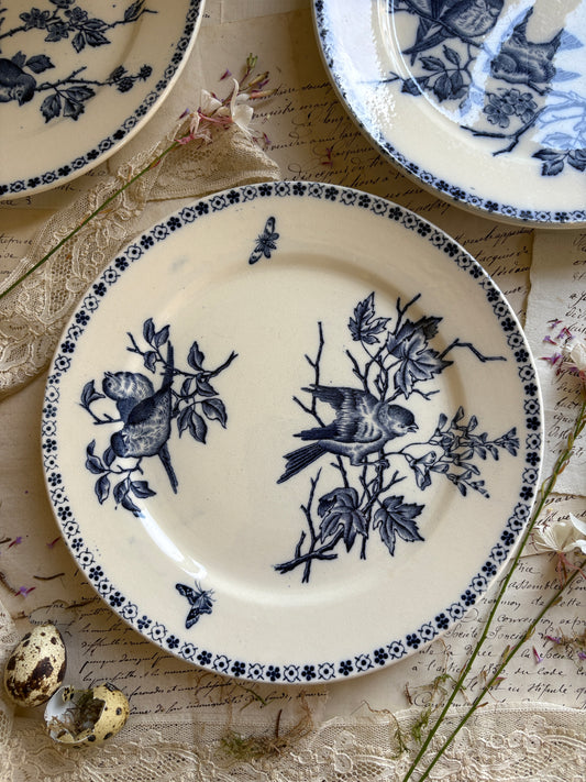 Set of Six Antique French Ironestone plates "Chanteurs" Blue Bird Decor