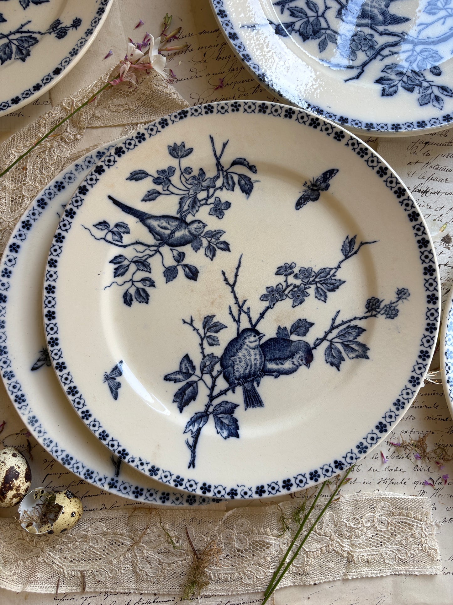 Set of Six Antique French Ironestone plates "Chanteurs" Blue Bird Decor